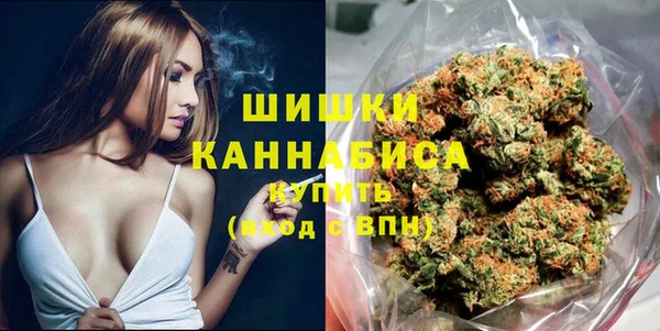 СК Алексин