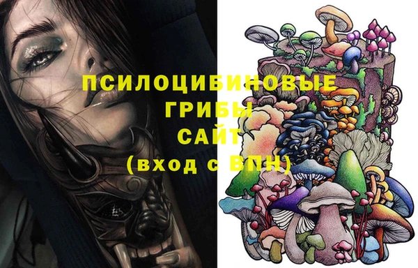 ГАЛЛЮЦИНОГЕННЫЕ ГРИБЫ Алзамай