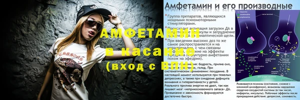 СК Алексин