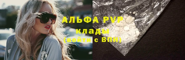 СК Алексин